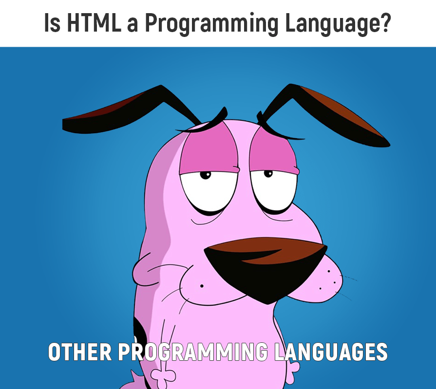 HTML is a programming language??!!?