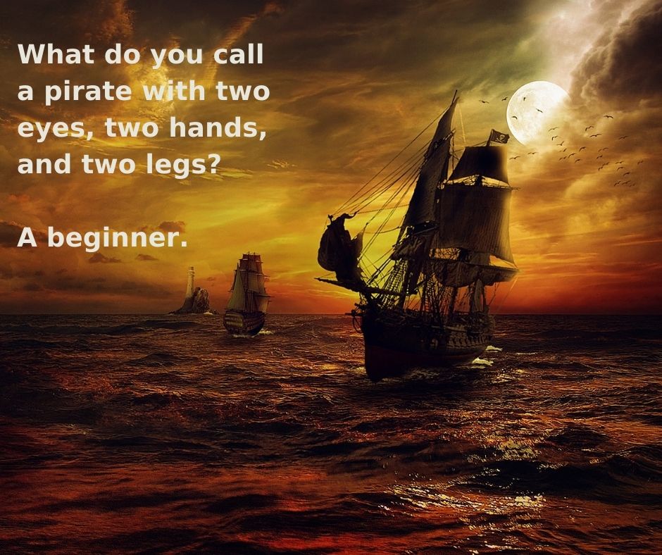 What do you call a pirate with two eyes, two hands, and two legs?

A beginner.