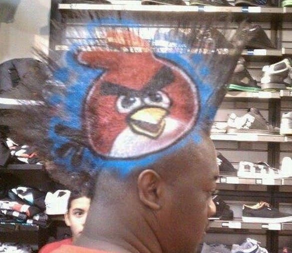 Angry birds champ
