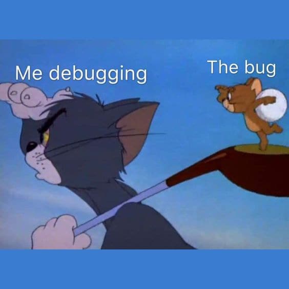 Searching for the bug
