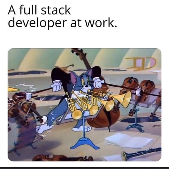 A full-stack developer at work.