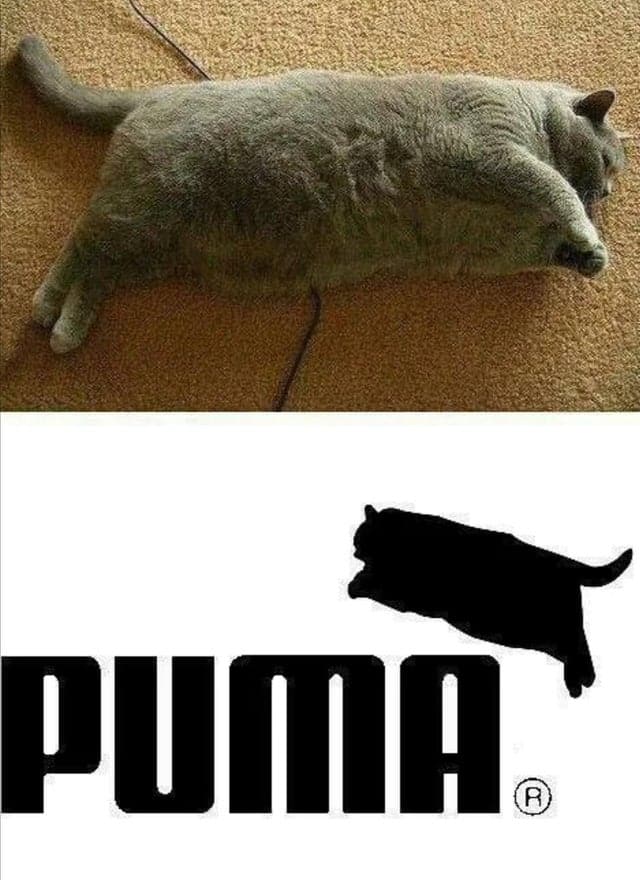 Puma Logo during covid