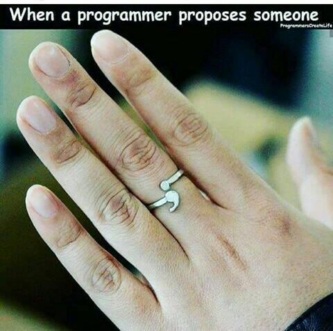 When A Programmer Proposes Someone